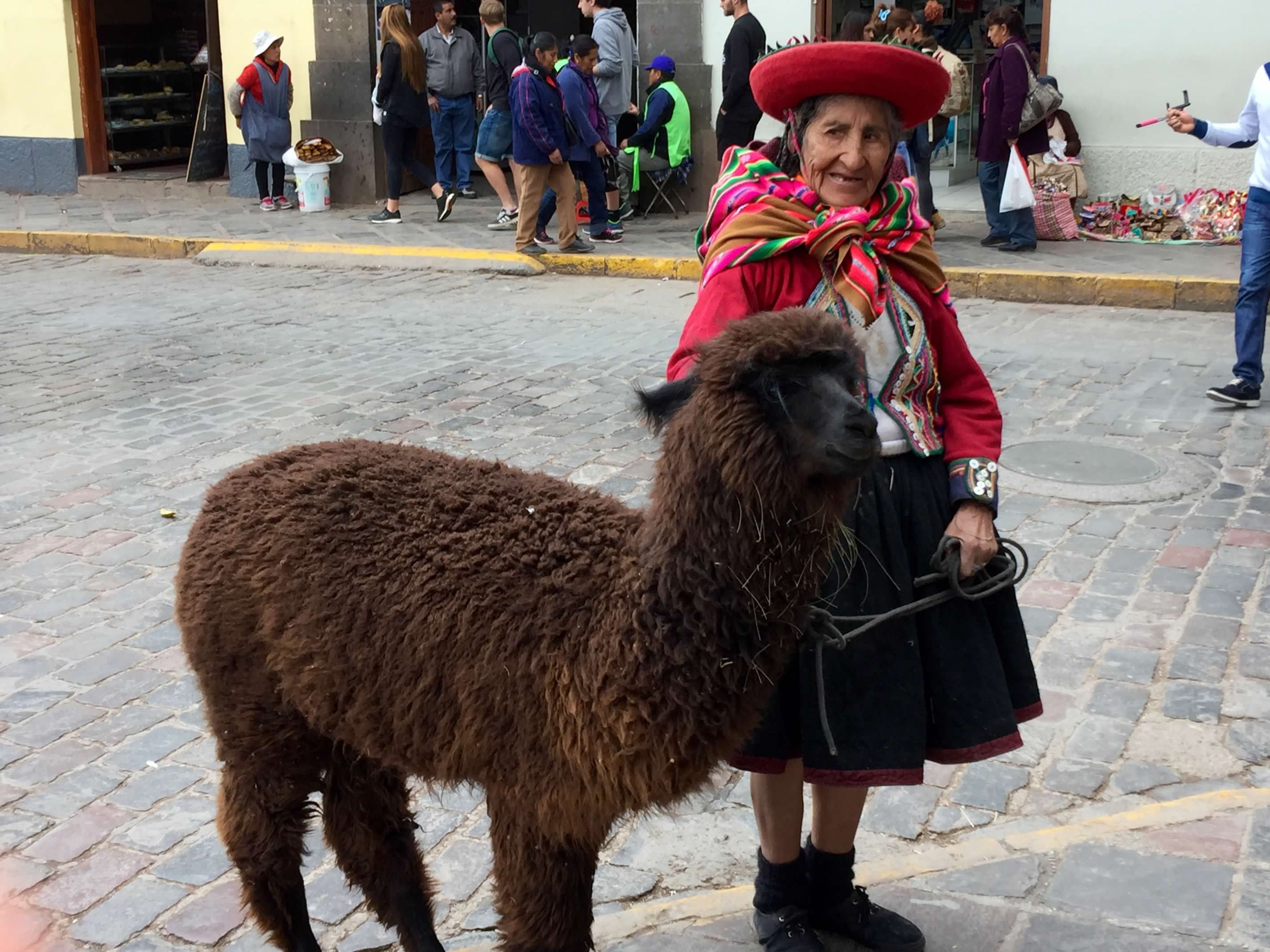 Woman in Cusco with alpaca selling items